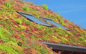 Low Garth living roof systems