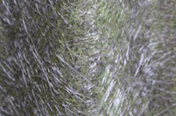 Low Garth fibreglass roof work